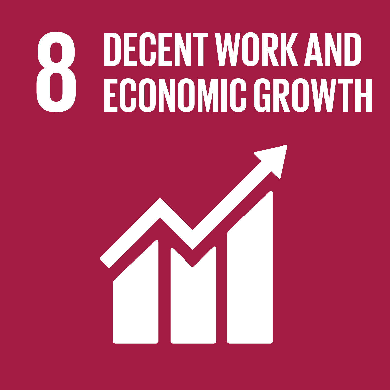 8 DECENT WORK AND ECONOMIC GROWTH